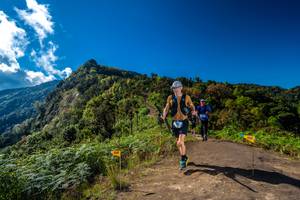 BIB: 
                            <button type="button" onclick="openModal(19034872)" class="btn btn-primary btn-sm float-right btn-popup" data-toggle="modal" data-target=".modal-high-quality">
                        <i class="fas fa-shopping-cart"></i> Add to Cart
                    </button>
                                            <button type="button" onclick="isThisMe(19034872, true)" class="btn btn-success btn-sm float-right btn-popup btn-isme hidden" data-toggle="tooltip" data-placement="bottom" title="นี่คือรูปของคุณใช่ไหม คลิกที่นี่เพื่อเอาเข้าอัลบั้ม">
                        <i class="fas fa-plus"></i> Add to album
                    </button>
                    <button type="button" onclick="isThisMe(19034872, false)" class="btn btn-warning btn-sm float-right btn-popup btn-isnotme hidden">
                        <i class="fas fa-ban"></i> Remove from album
                    </button>